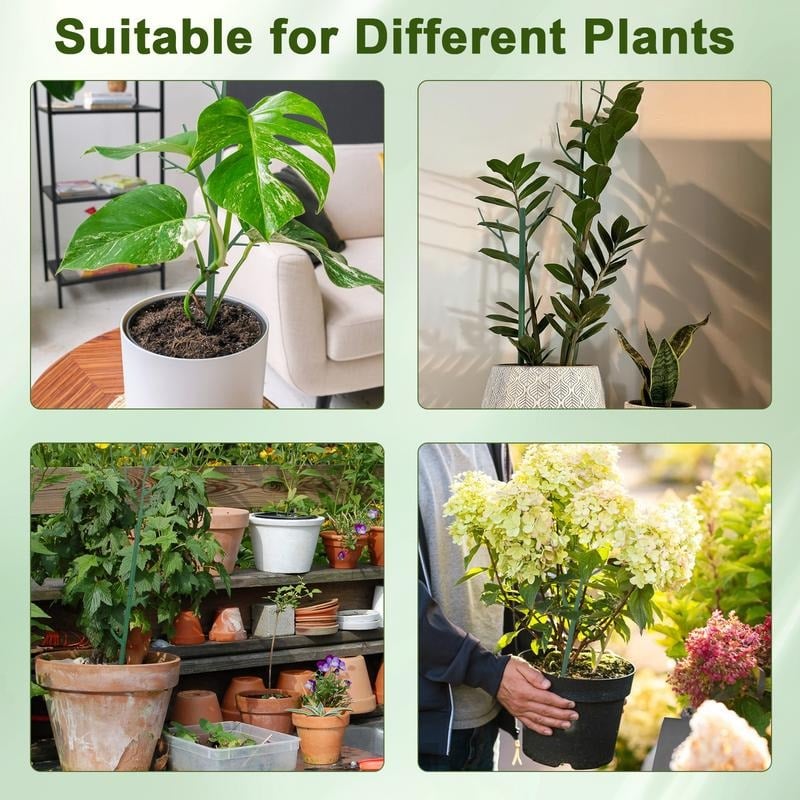 💕Hot sale 49% OFF💖🌿 5 Pack Plant Support Stakes