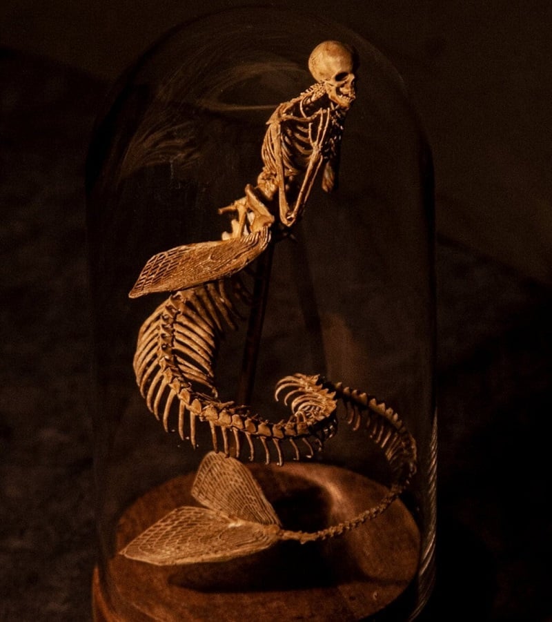 Wendigo Skeleton Curiosity Cabinet (15*9*9 CM)