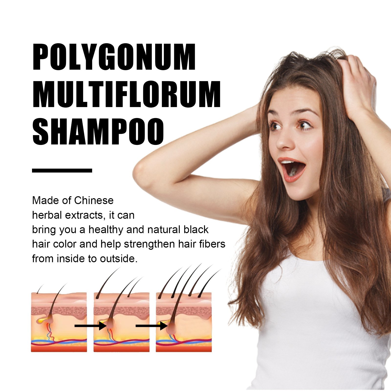 Polygonum Multiflorum GInger Shine Nourishing Root Shampoo