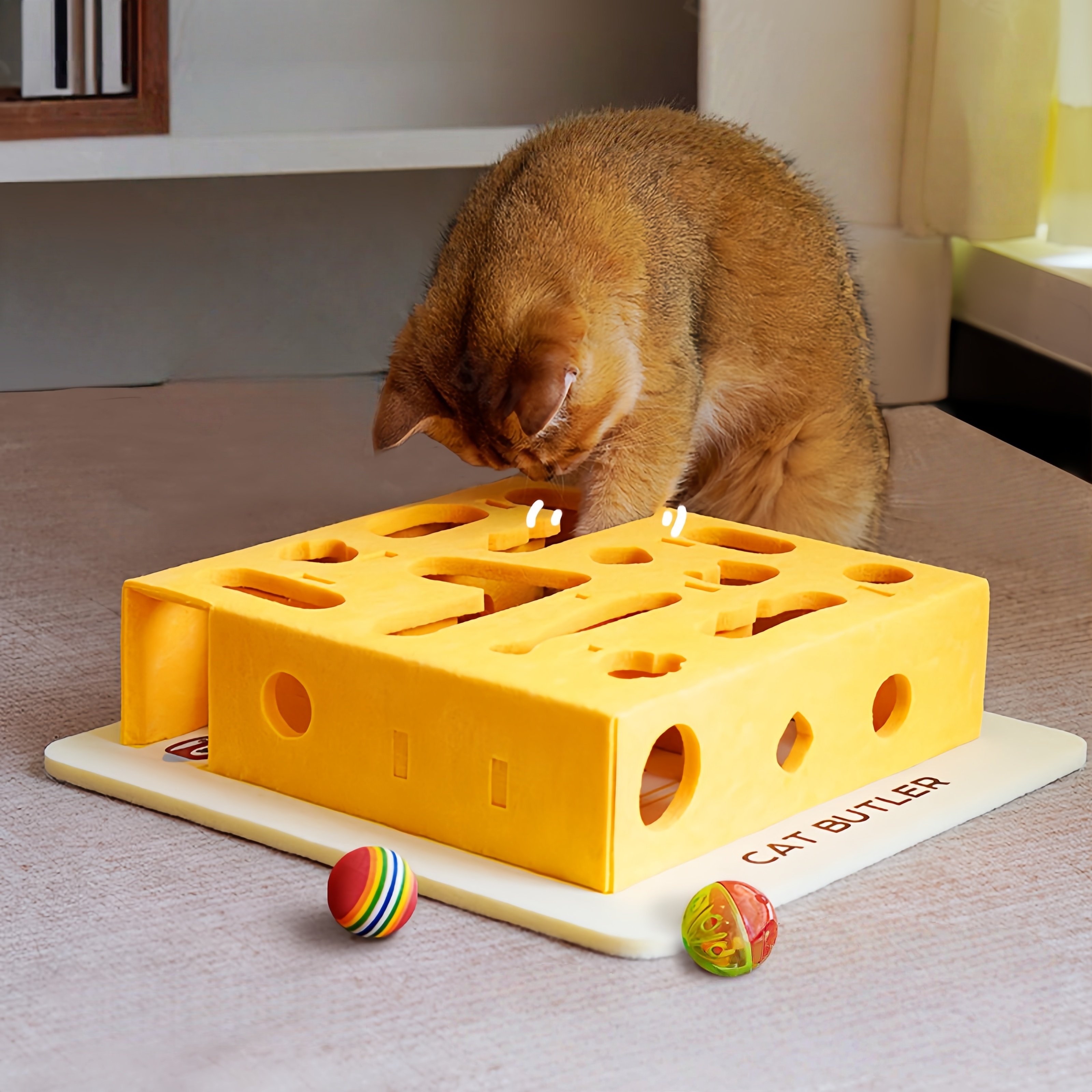 Cat Intelligence Maze Box