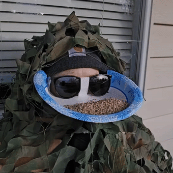 Glasses-Framed Bird Feeder