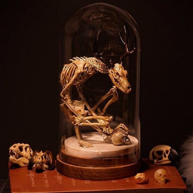 Wendigo Skeleton Curiosity Cabinet (15*9*9 CM)