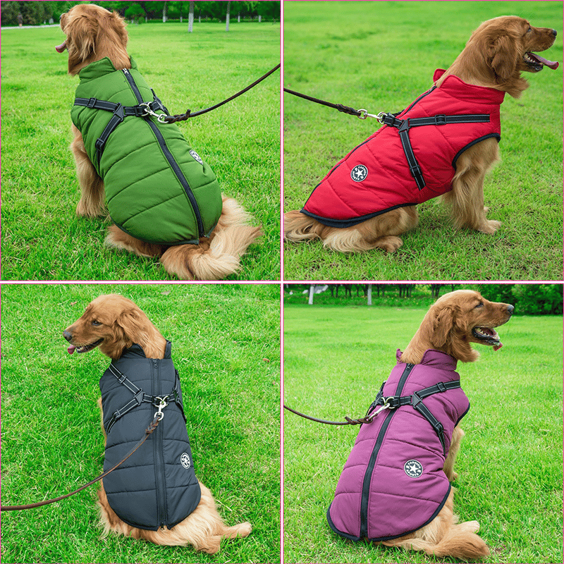🎄Christmas sale-49% Off🎄Winter Warm Pet Dog Waterproof Jacket With Harness