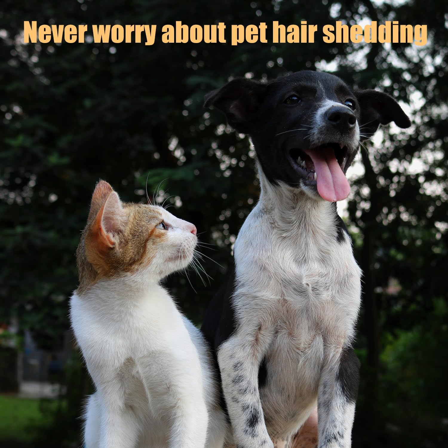 😸Knot-removing and floating hair comb for cats and dogs