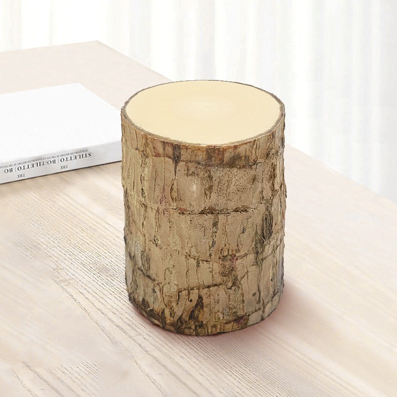 49% Off✨Brazilian Lucky Wood Hydroponic Plants