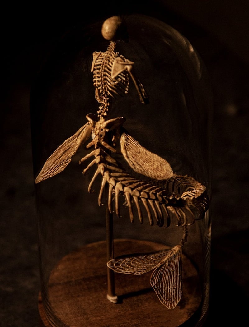 Wendigo Skeleton Curiosity Cabinet (15*9*9 CM)