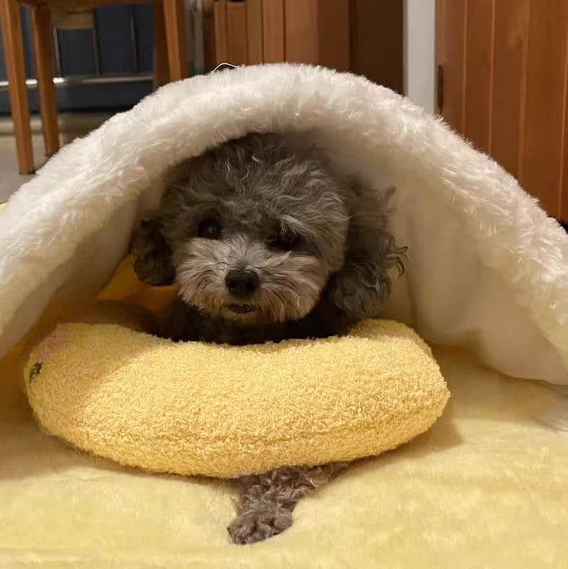 🎄Christmas Sale 49% OFF🐶🐱The Calming Pillow💐BUY 1 GET 1 FREE