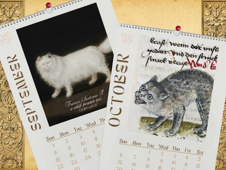 2024 Wall Hanging Calendar, Funny Art Novelty Gift