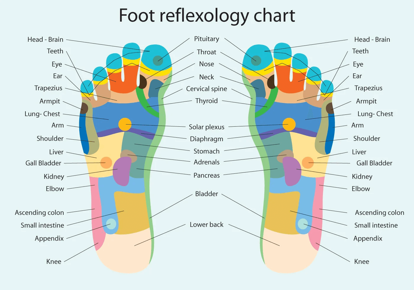 (🎁2024 NEW YEAR HOT SALE🎁) Foot Roller