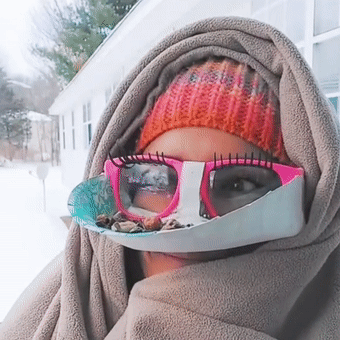 Glasses-Framed Bird Feeder