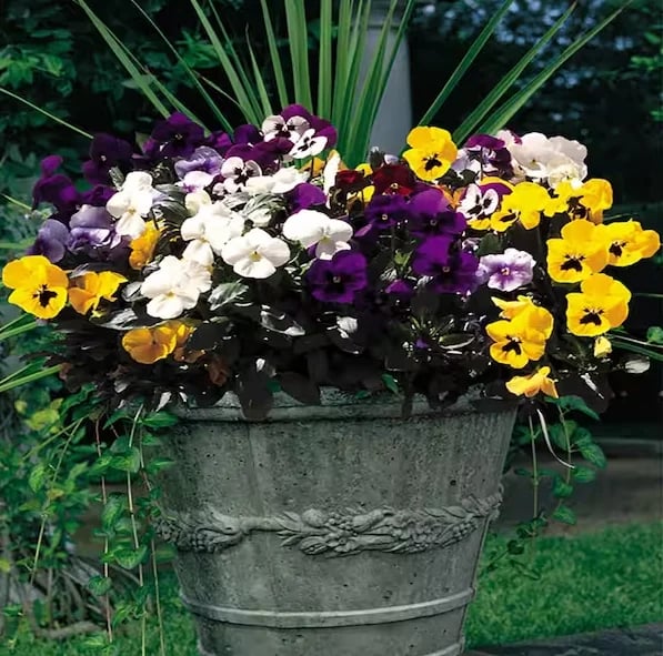 🌸Last Day -70% OFF🌸 - Outdoor Artificial Pansy Flowers💐