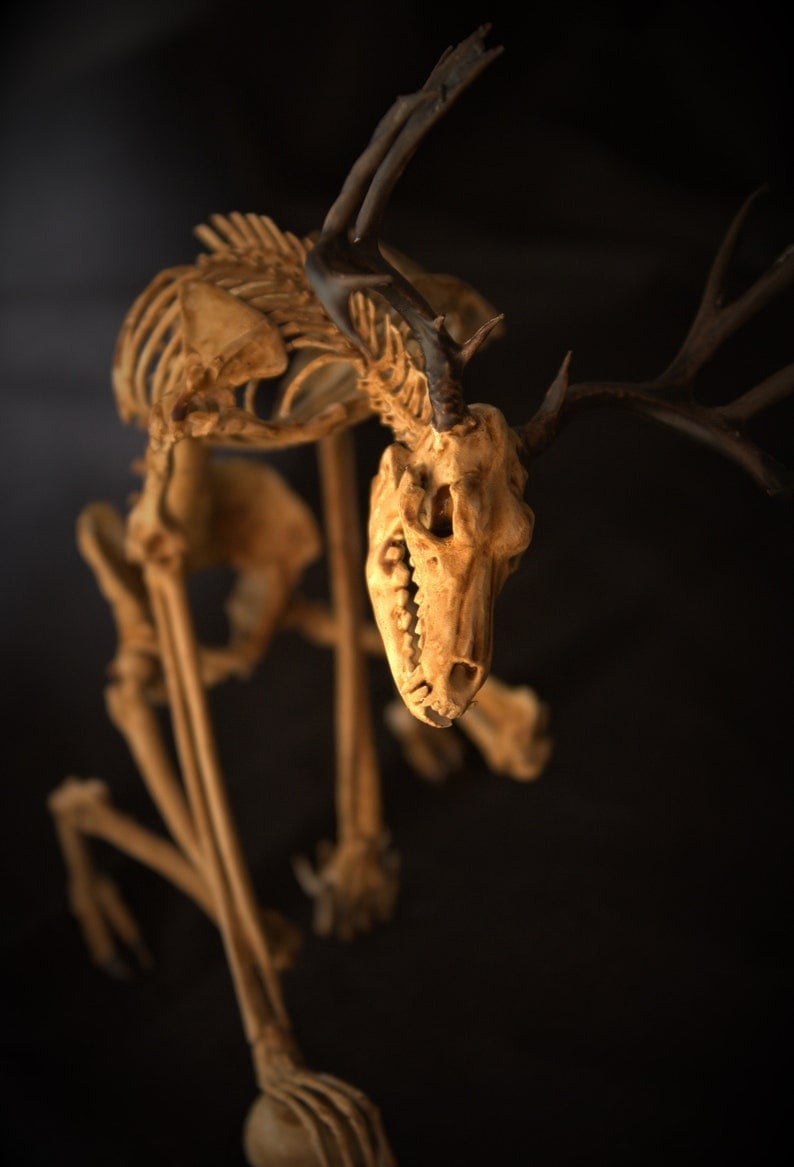 Wendigo Skeleton Curiosity Cabinet (15*9*9 CM)