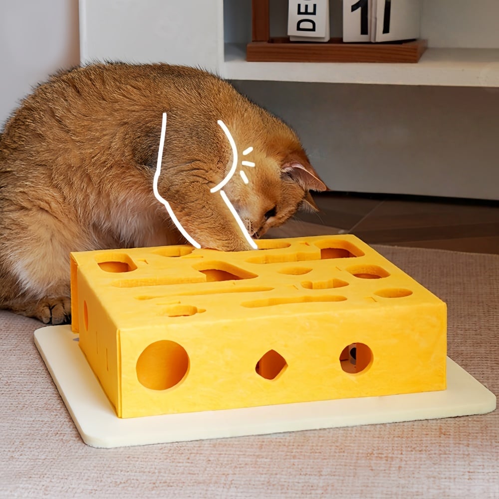 Cat Intelligence Maze Box