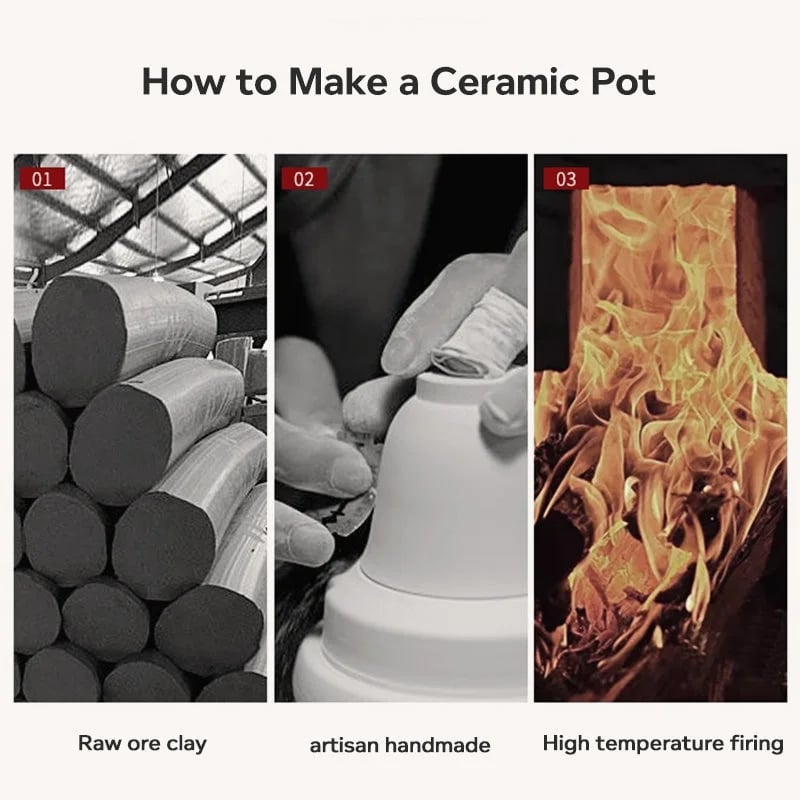 2023 New 360° Rotation Tea Maker