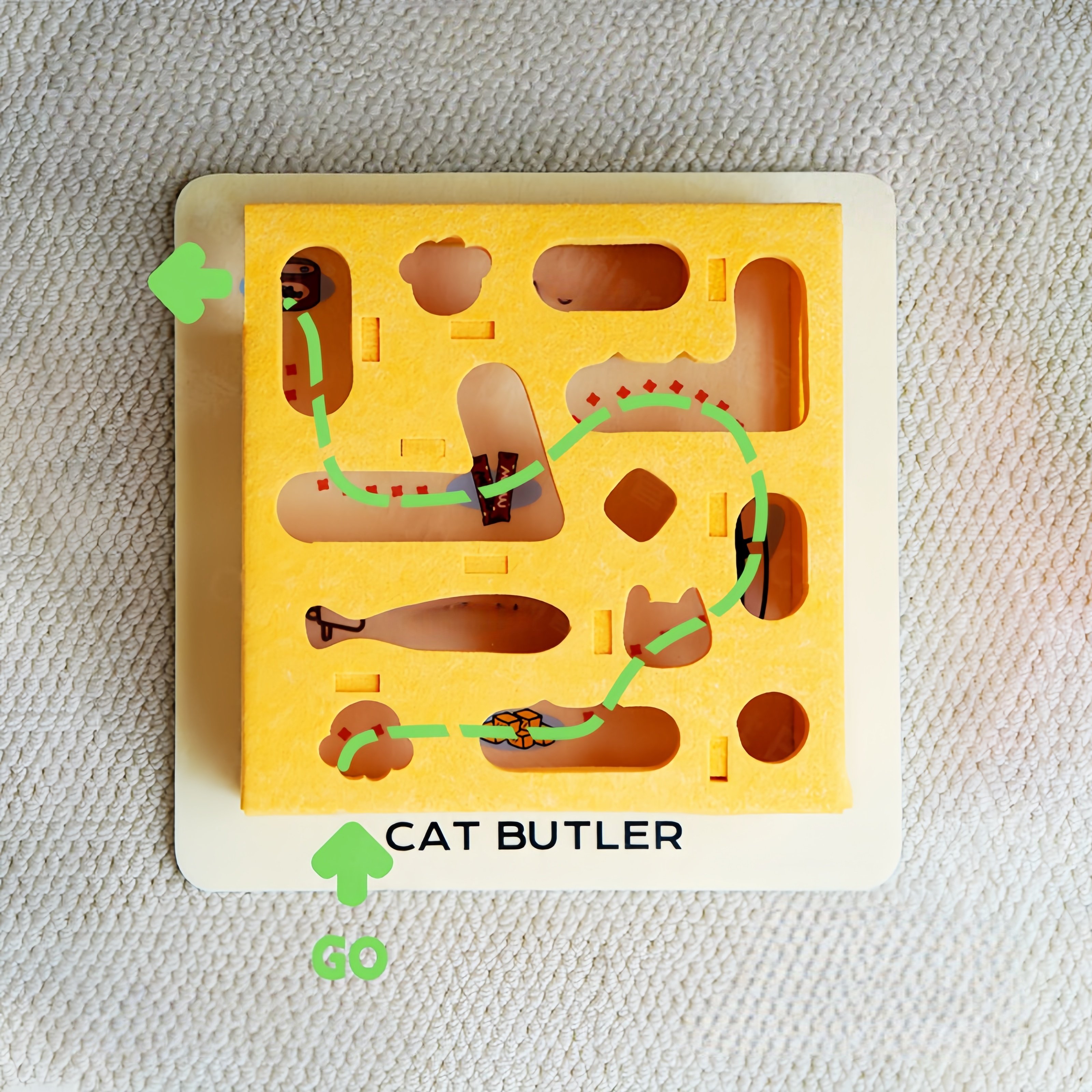 Cat Intelligence Maze Box