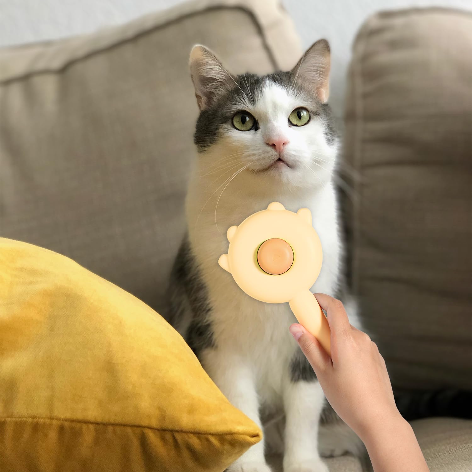 😸Knot-removing and floating hair comb for cats and dogs