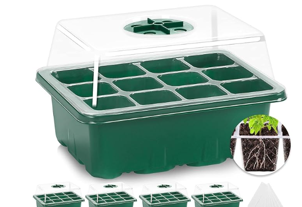 Seed incubator