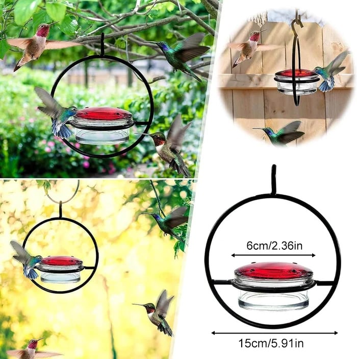🎉Hummble Slim Hummingbird Feeder