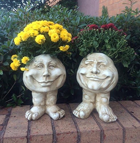 Last Day 70% OFF - Mugglys Face Statue Planter
