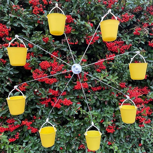 🐦Ferris Wheel Squirrel-Proof Bird Feeder - Attracts Wild Birds Outdoors