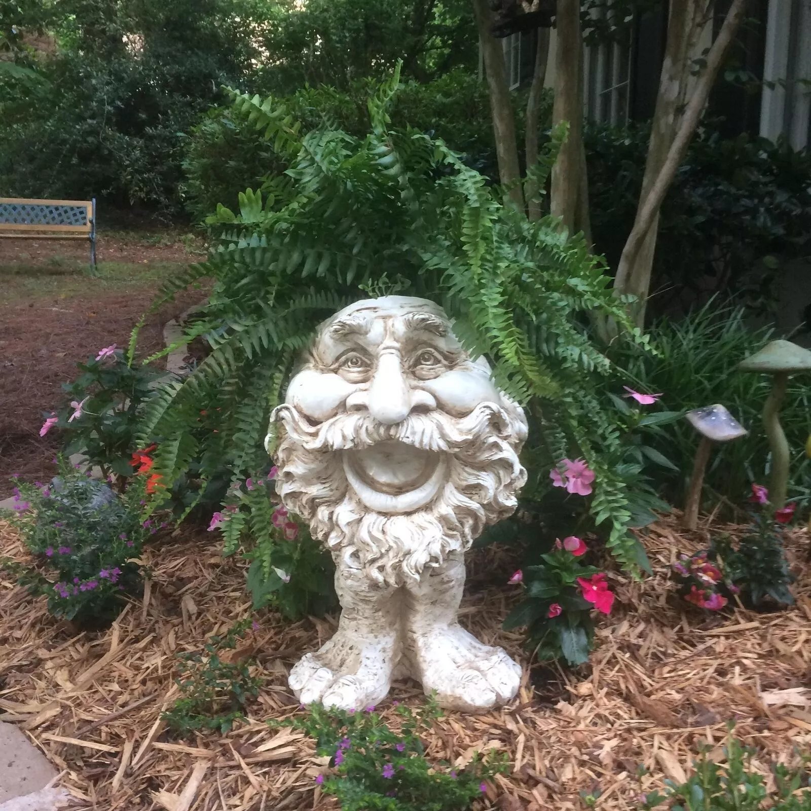 Last Day 70% OFF - Mugglys Face Statue Planter