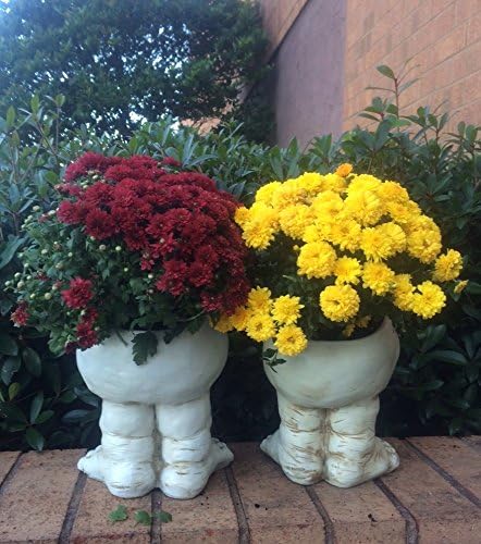 Last Day 70% OFF - Mugglys Face Statue Planter