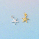 #12  Starfish