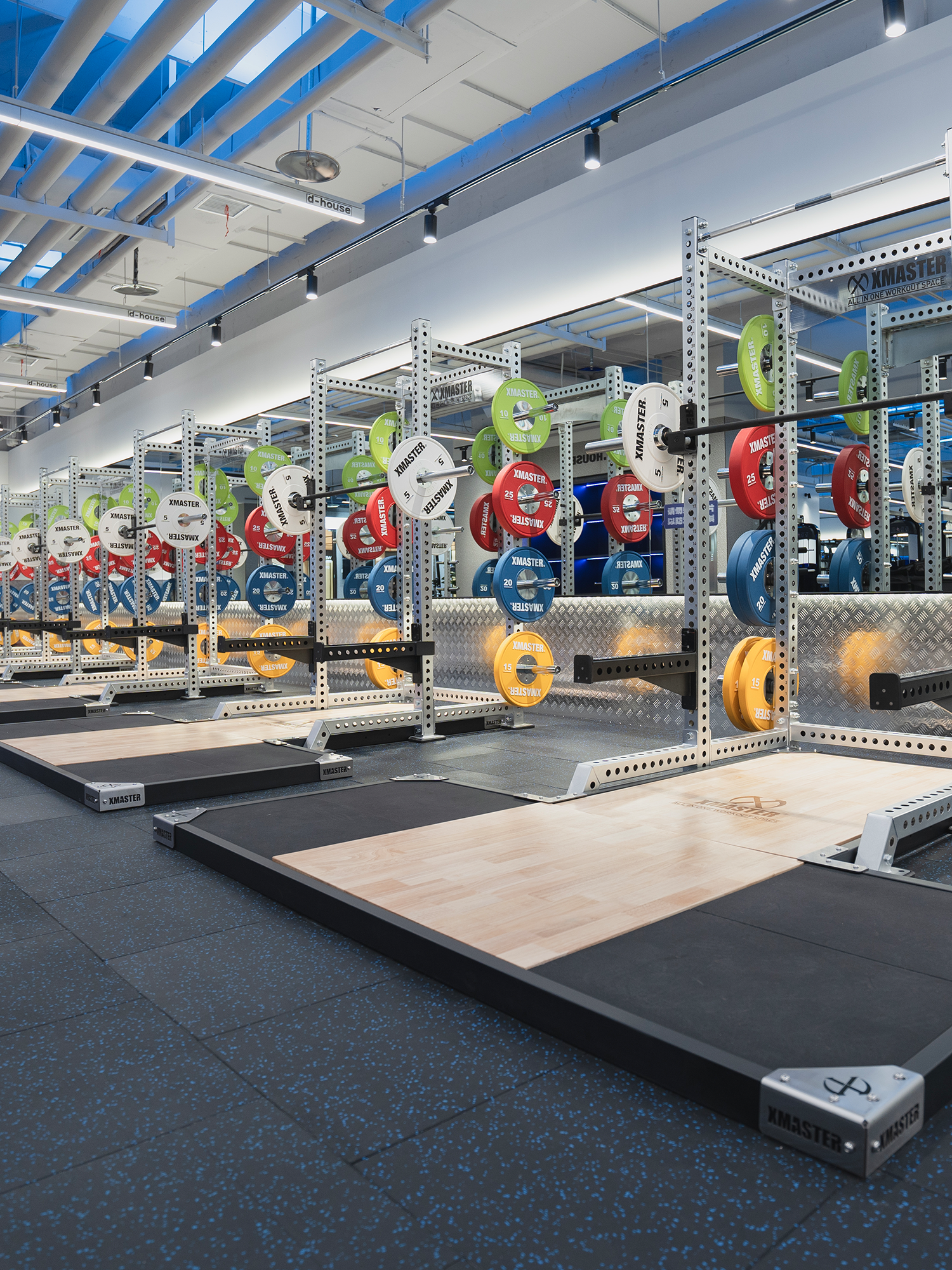 Rubber Competition Bumper Plate