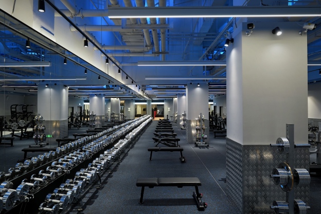 Chrome Fixed Steel Dumbbells (set)