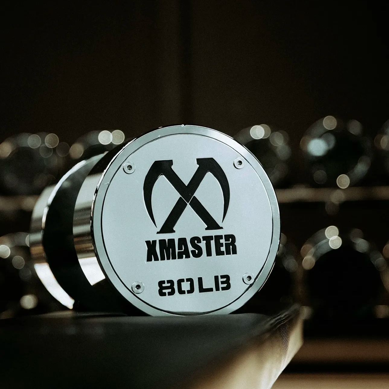 Chrome Fixed Steel Dumbbells (set)