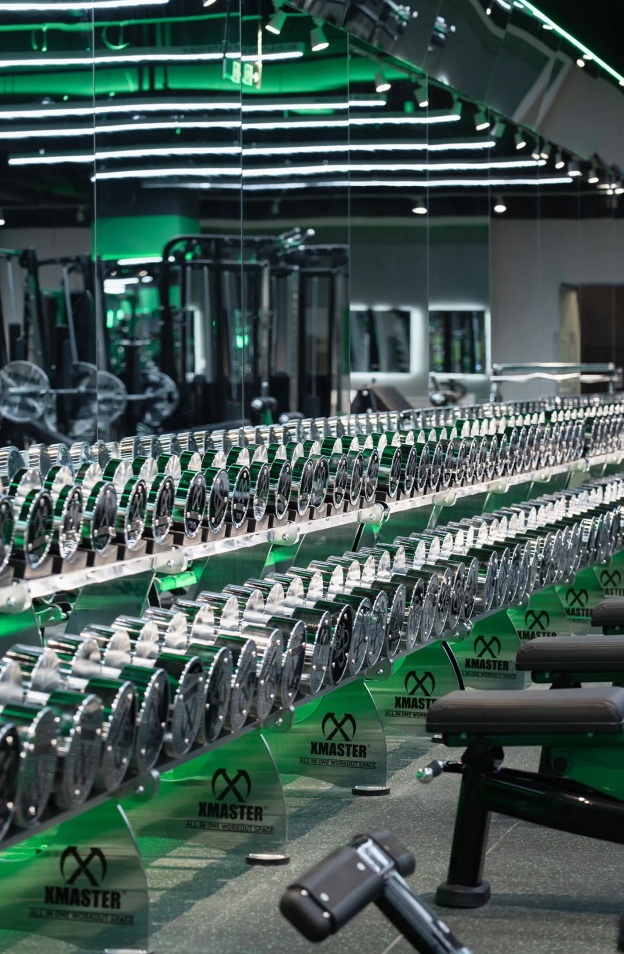 Chrome Fixed Steel Dumbbells (set)