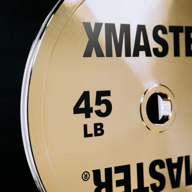 Gold Chrome Steel Plates （LB）