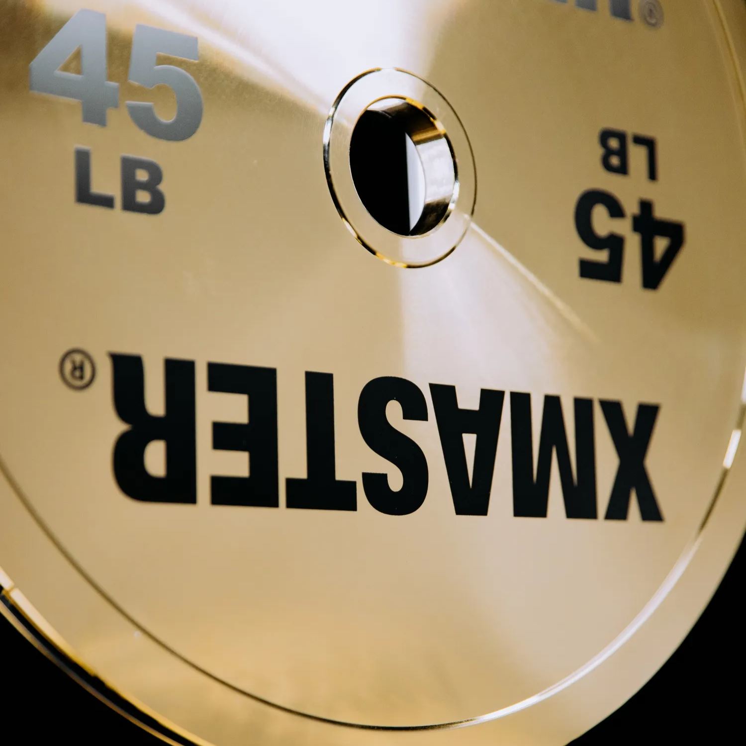 Gold Chrome Steel Plates （LB）