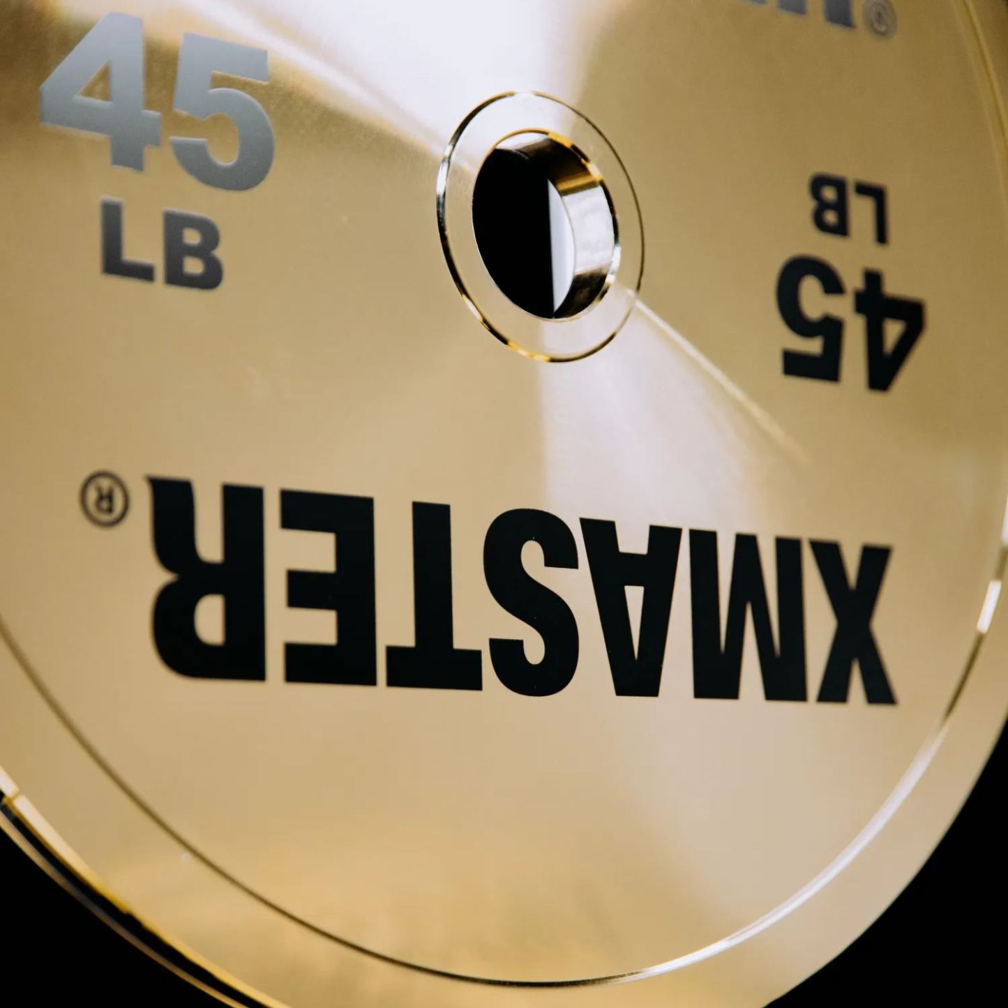 Gold Chrome Steel Plates （LB）