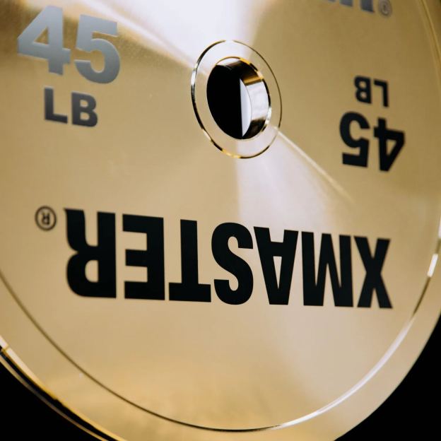 Gold Chrome Steel Plates （LB）