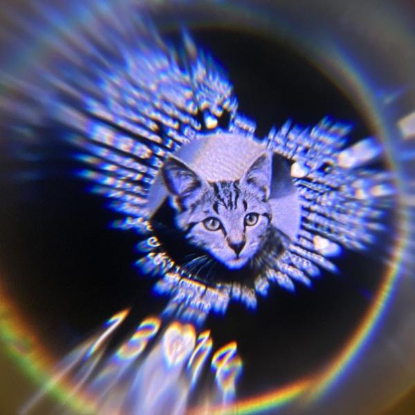 💎Colier personalizat cu proiecție foto - inimă