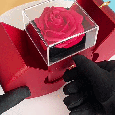 Náhrdelník z bieleho zlata - skutočná ruža - najlepší darček pre dievčatá, milenky, matky.