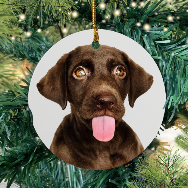 Personalized Photo Ceramic Ornament with Both Sides for Unique & Love | JNSDec21