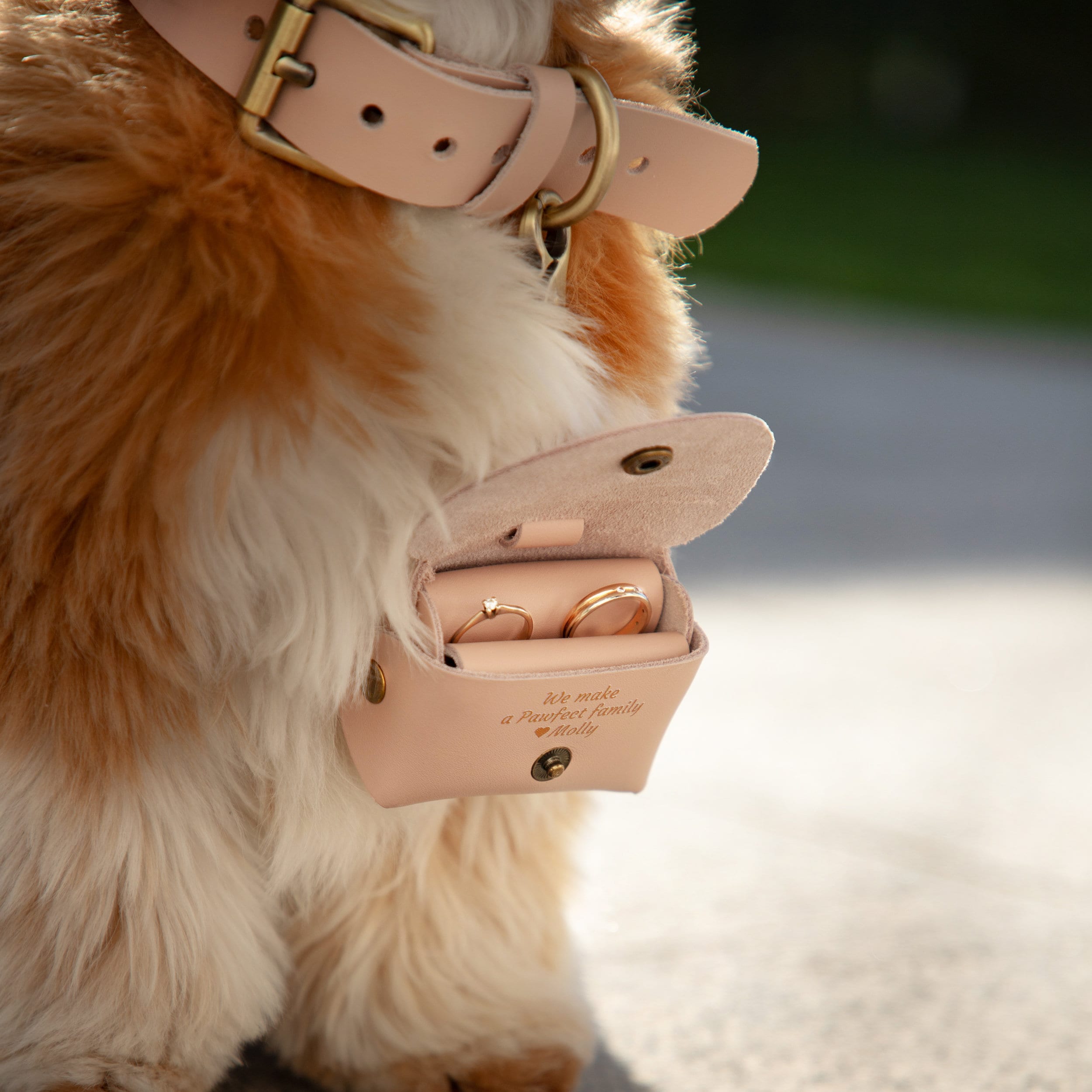 Personalized Pet proposal ring pouch for Unique & Love | JNSBag21