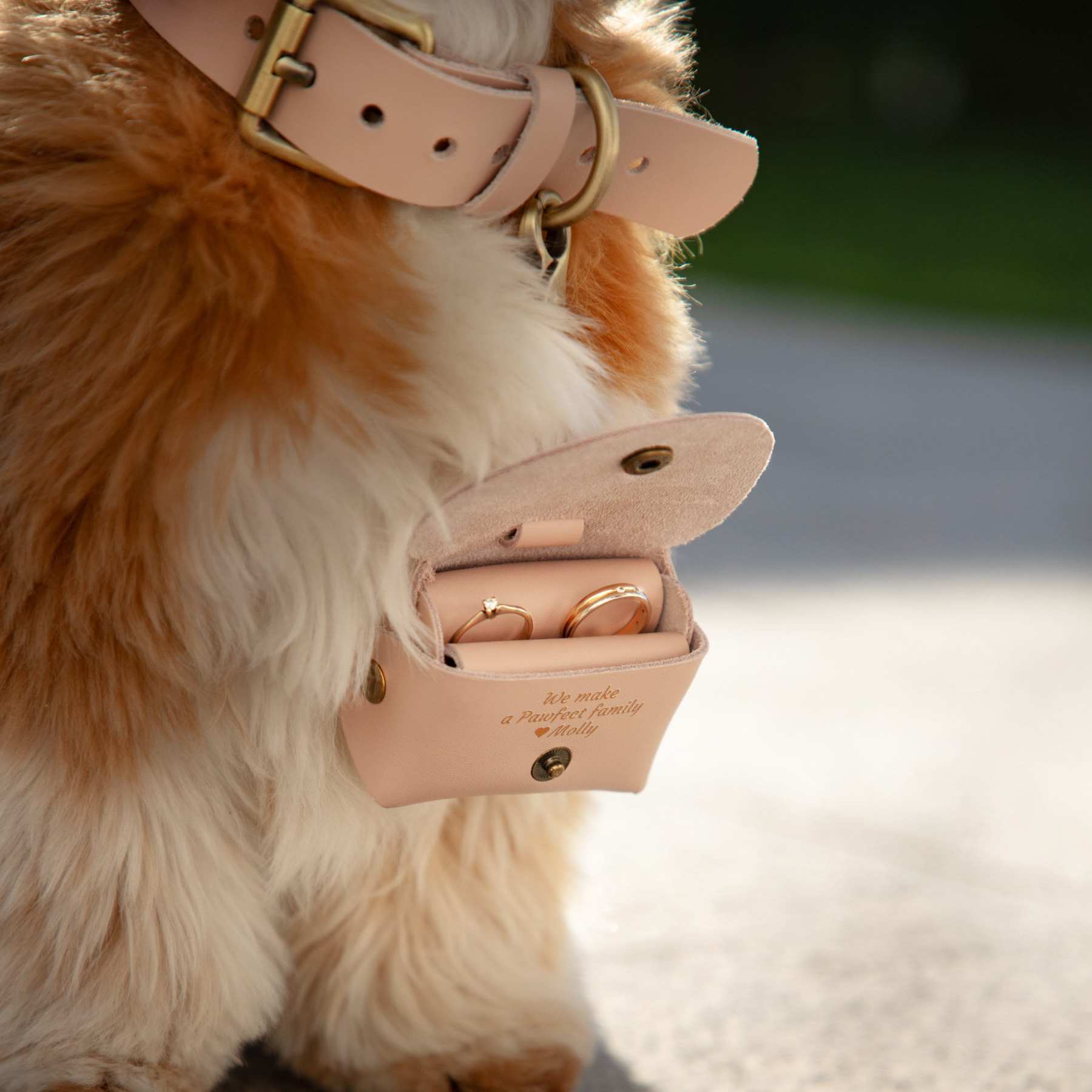 Personalized Pet proposal ring pouch for Unique & Love | JNSBag21