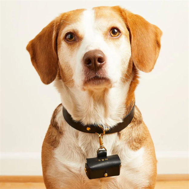 Personalized Pet proposal ring pouch for Unique & Love | JNSBag21