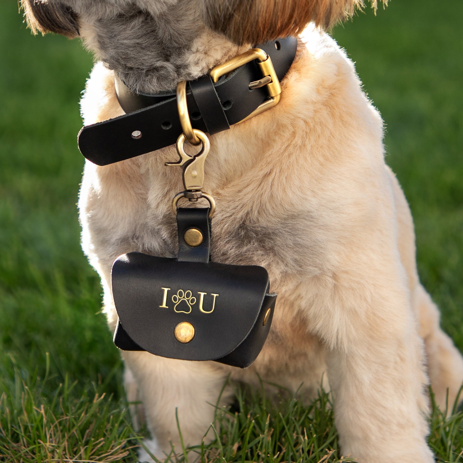Personalized Pet proposal ring pouch for Unique & Love | JNSBag21