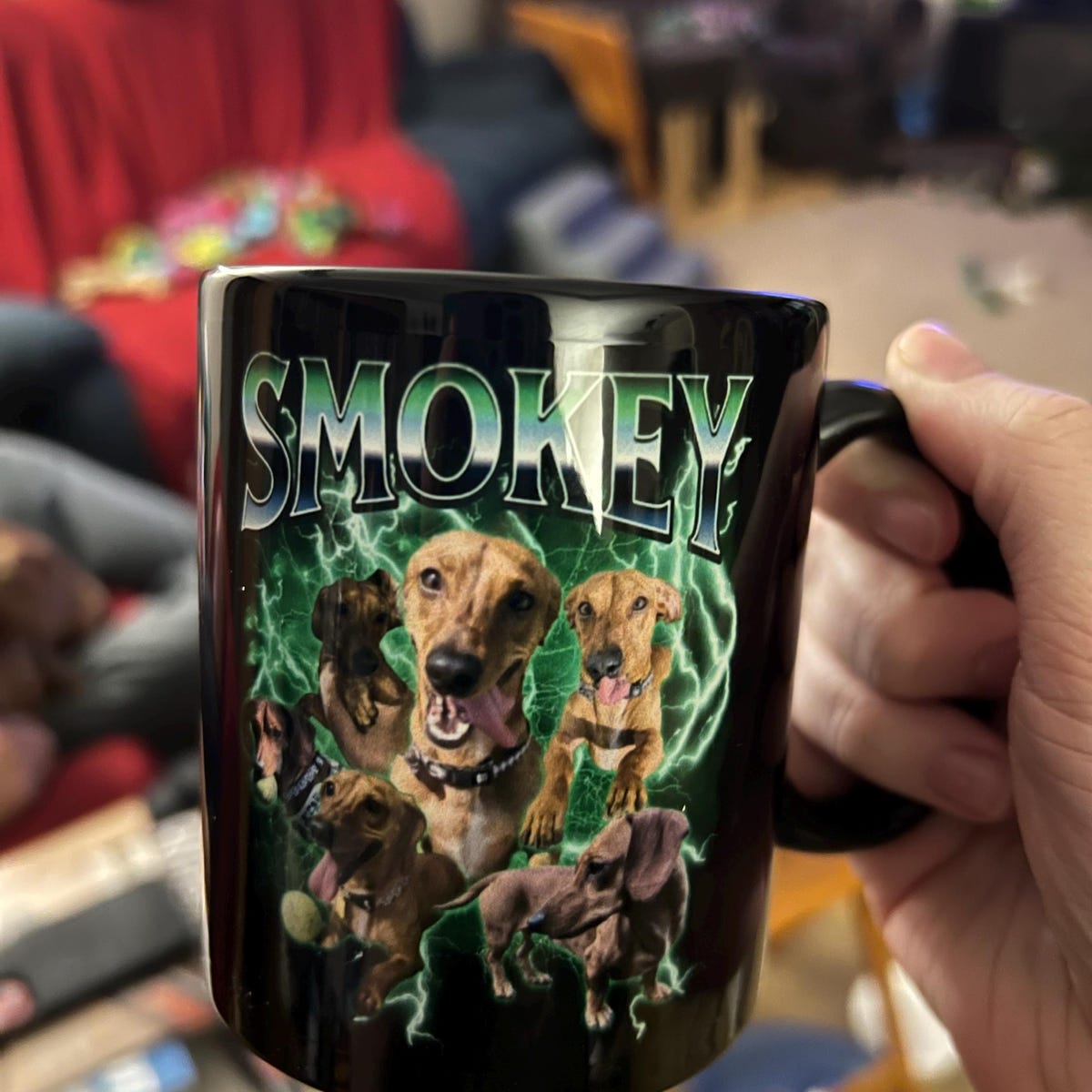 Personalized Pet Photo & Name Mug for Unique & Love | JNSDec150