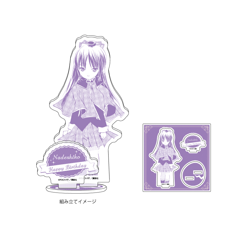 Acrylic Stand Plate 