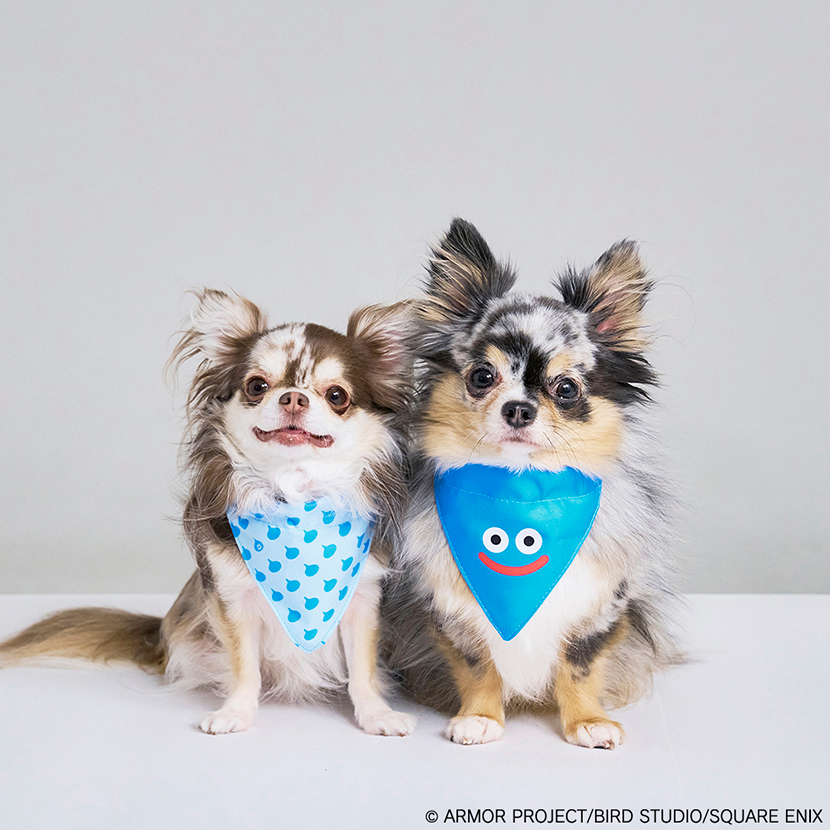 "Dragon Quest" Dragon Quest Pets Pet Bandana Slime Pattern