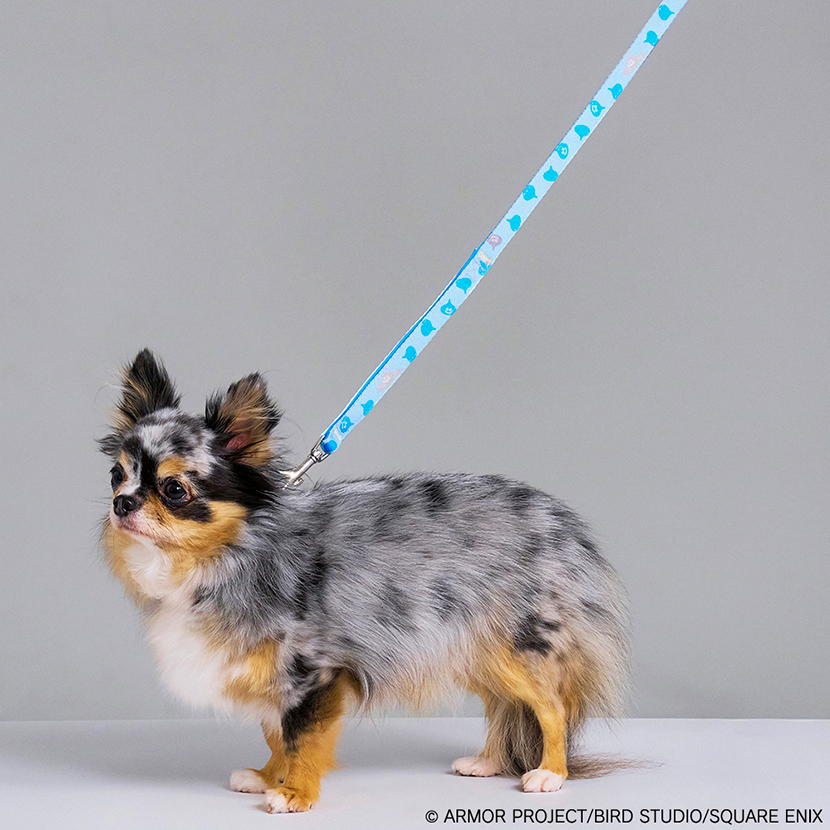 "Dragon Quest" Dragon Quest Pets Pet Leash with Slime Reflector
