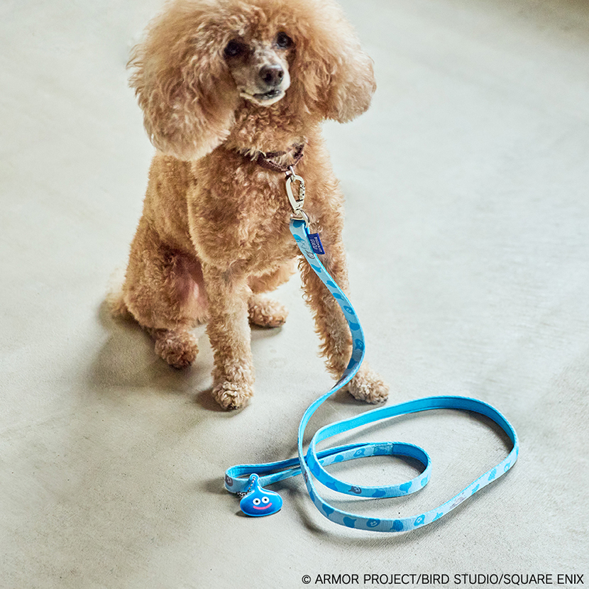 "Dragon Quest" Dragon Quest Pets Pet Leash with Slime Reflector