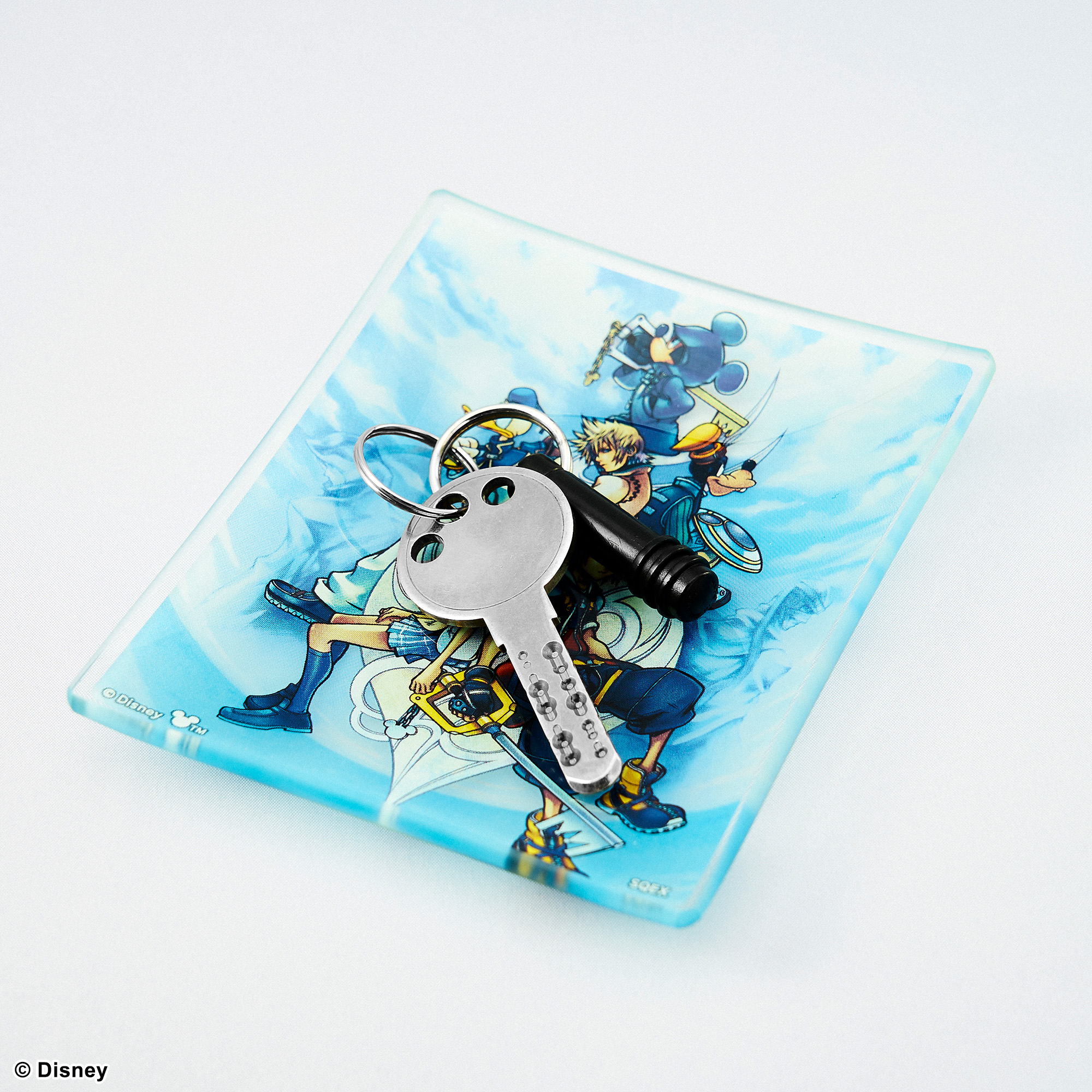 [Pre-order] "Kingdom Hearts II" Glass Plate