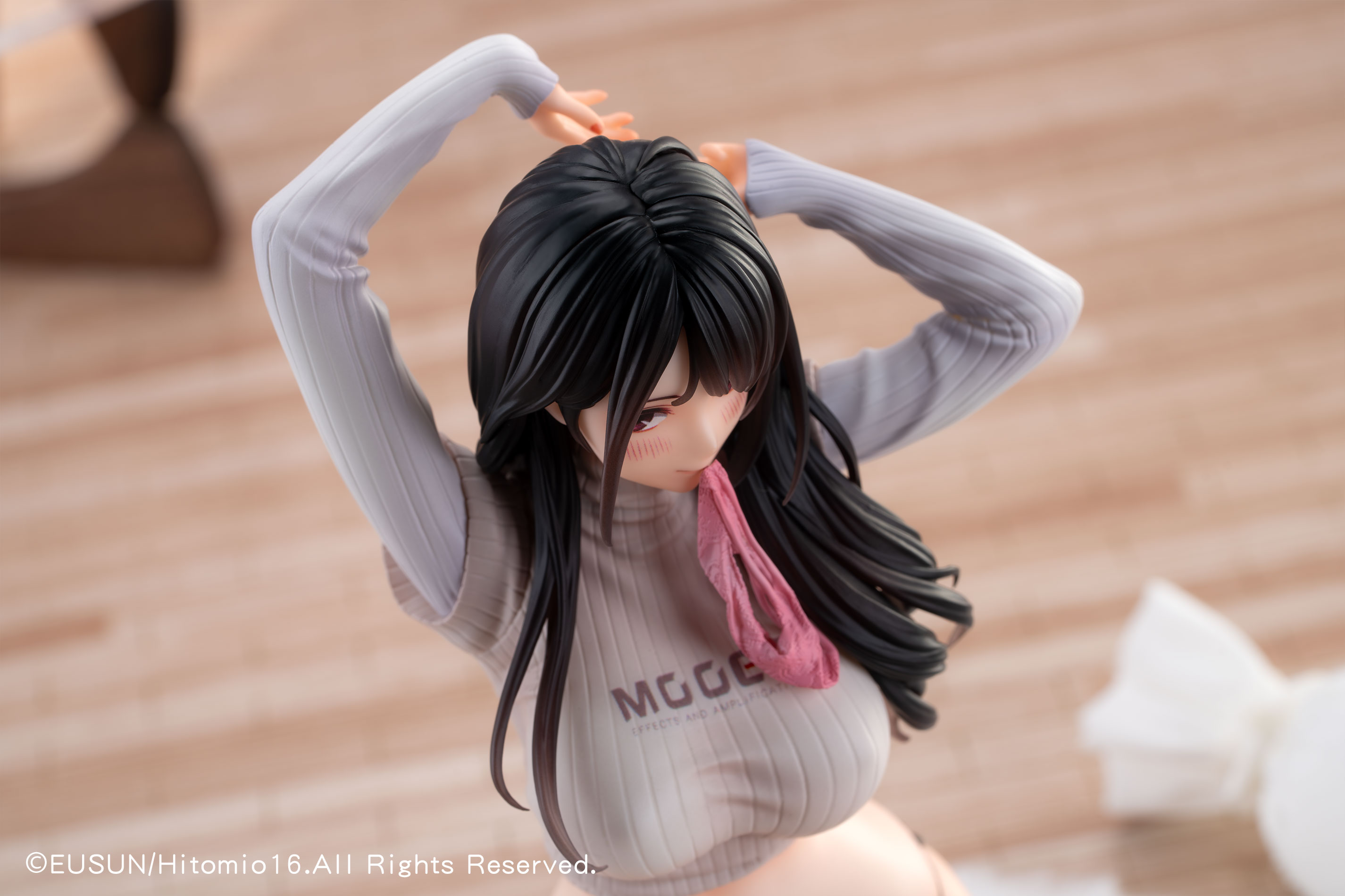 EUSUN GUITAR SISTER - WHICH ONE IS BETTER? VER. 1/6 SCALE FIGURE SPECIAL EDITION