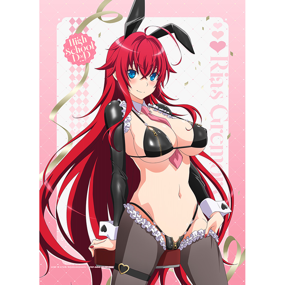 "High School DxD Hero" Original Illustration B2 Tapestry Rias Gremory / Reverse Bunny (Black) W Suede